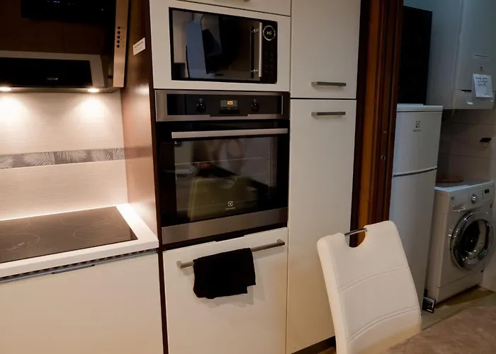 公寓 Magic 克拉科夫