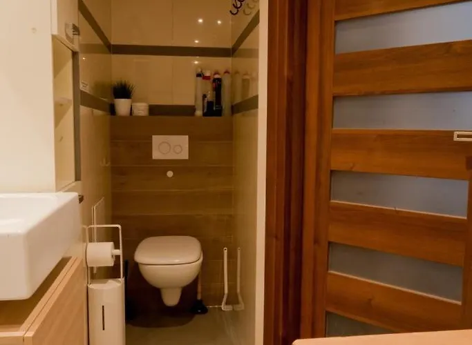 公寓 Magic 克拉科夫