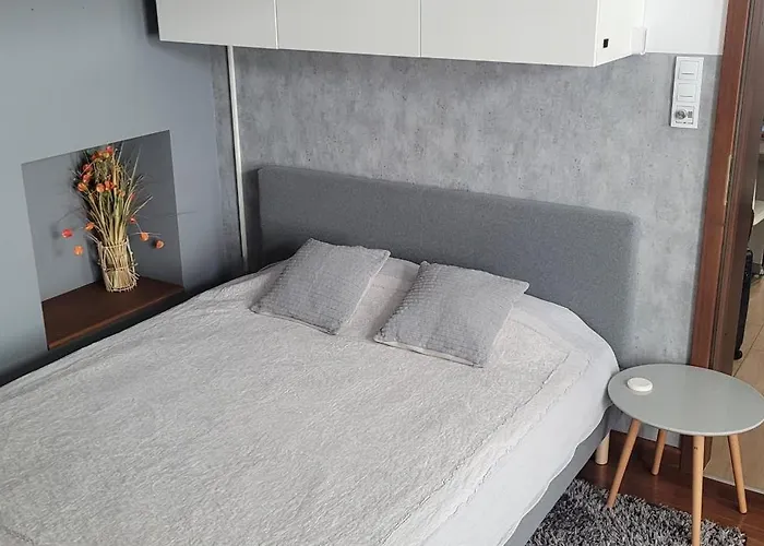 公寓 Magic 克拉科夫